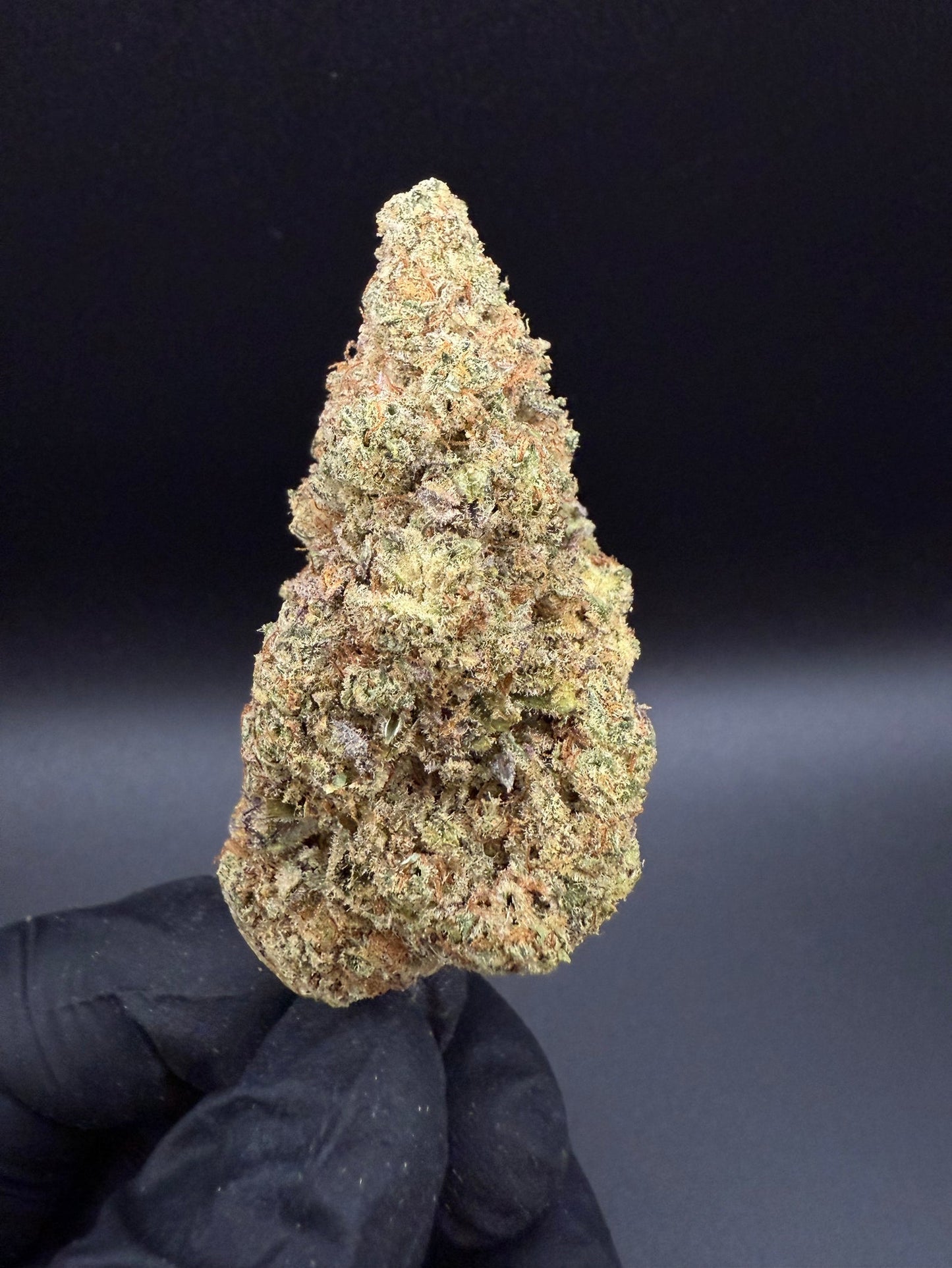 Mr. Big Runtz - Premium