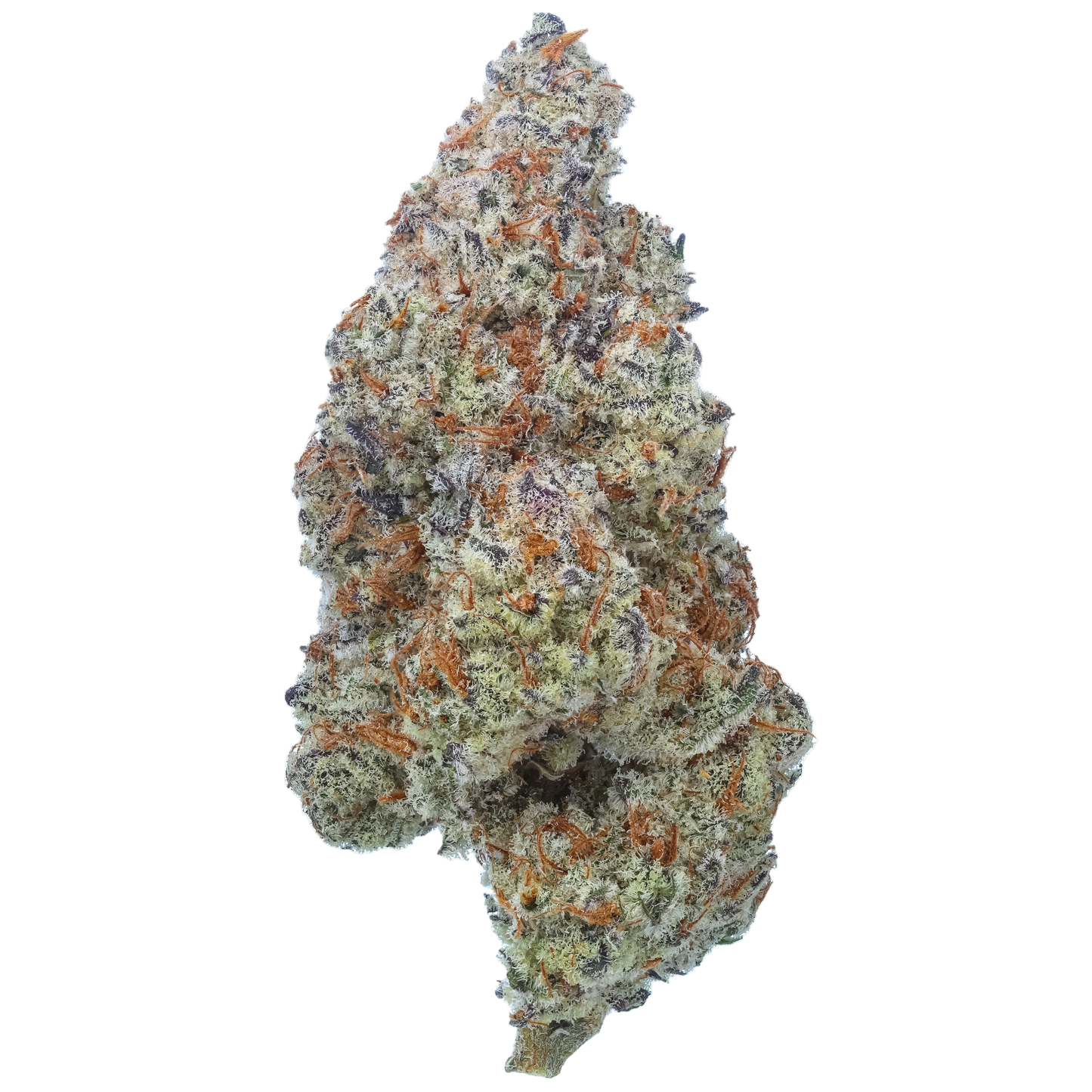 Plasma Fruit - Exotic
