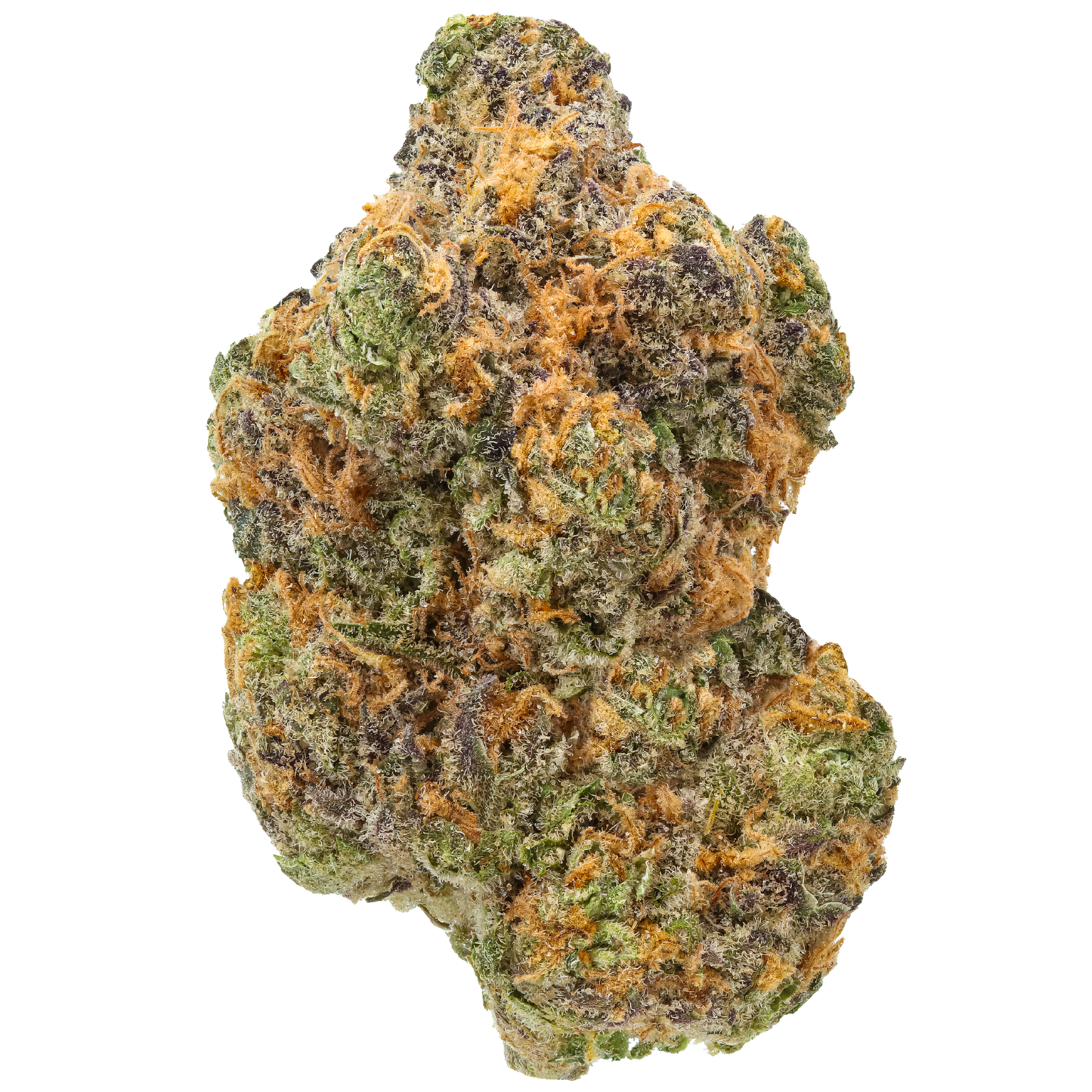 Strawberry Gary - Exotic