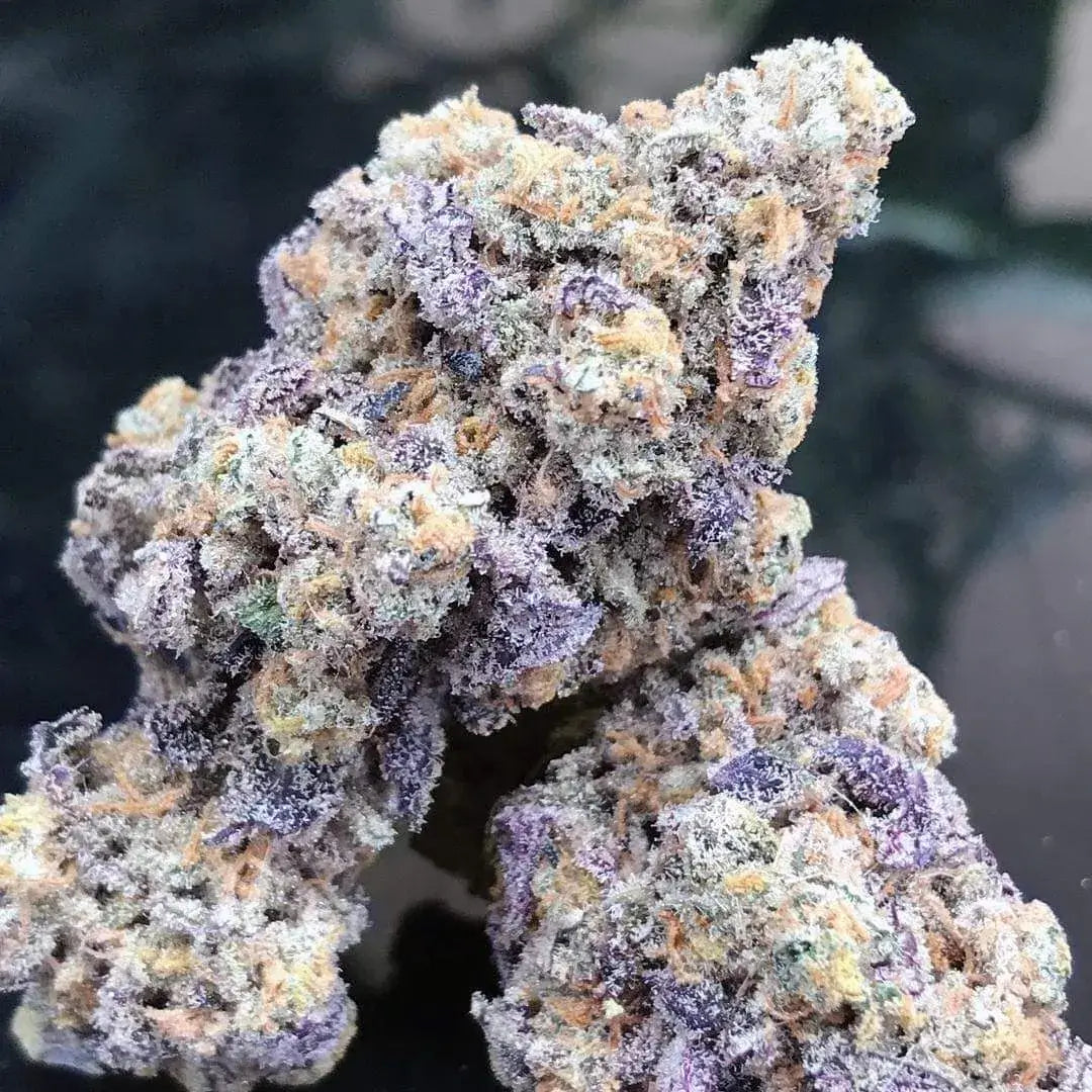 Blue Zushi - Exotic