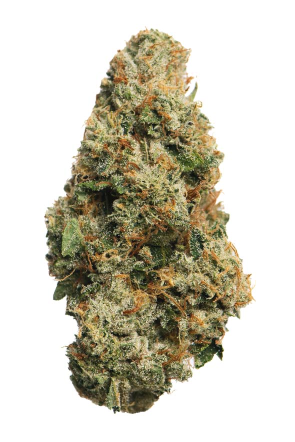 King Louie OG