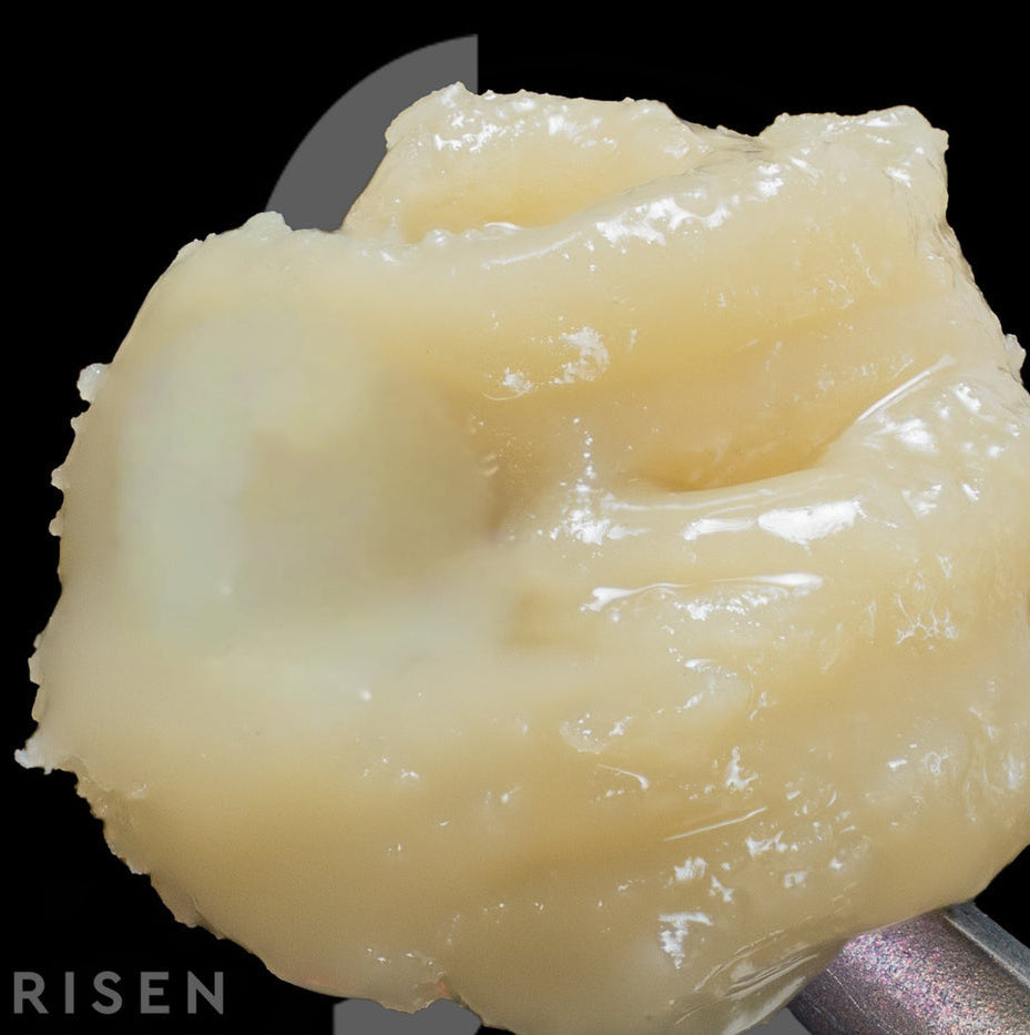 Live Hash Rosin