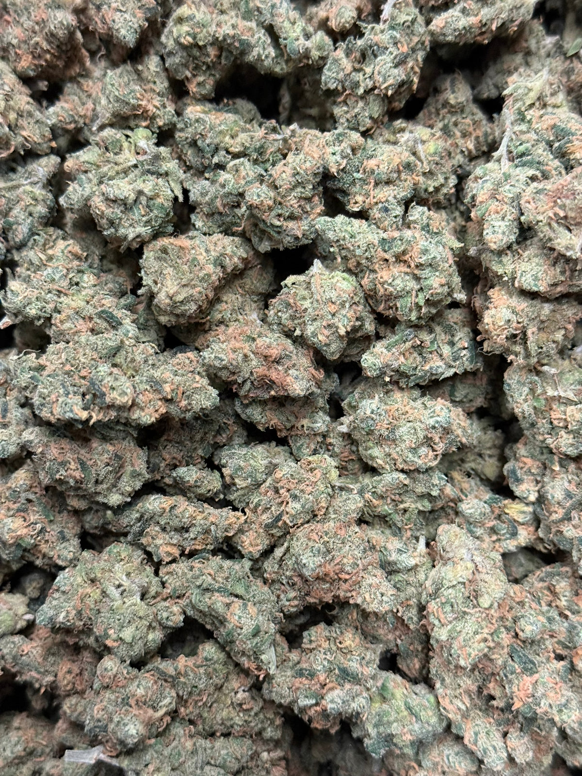 Blue Dream - Exotic