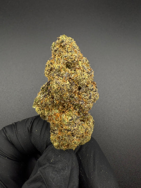 Blueberry Muffin - Premium