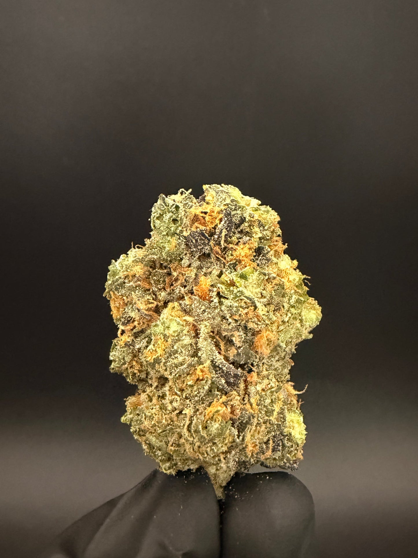 Birthday Cake - Premium