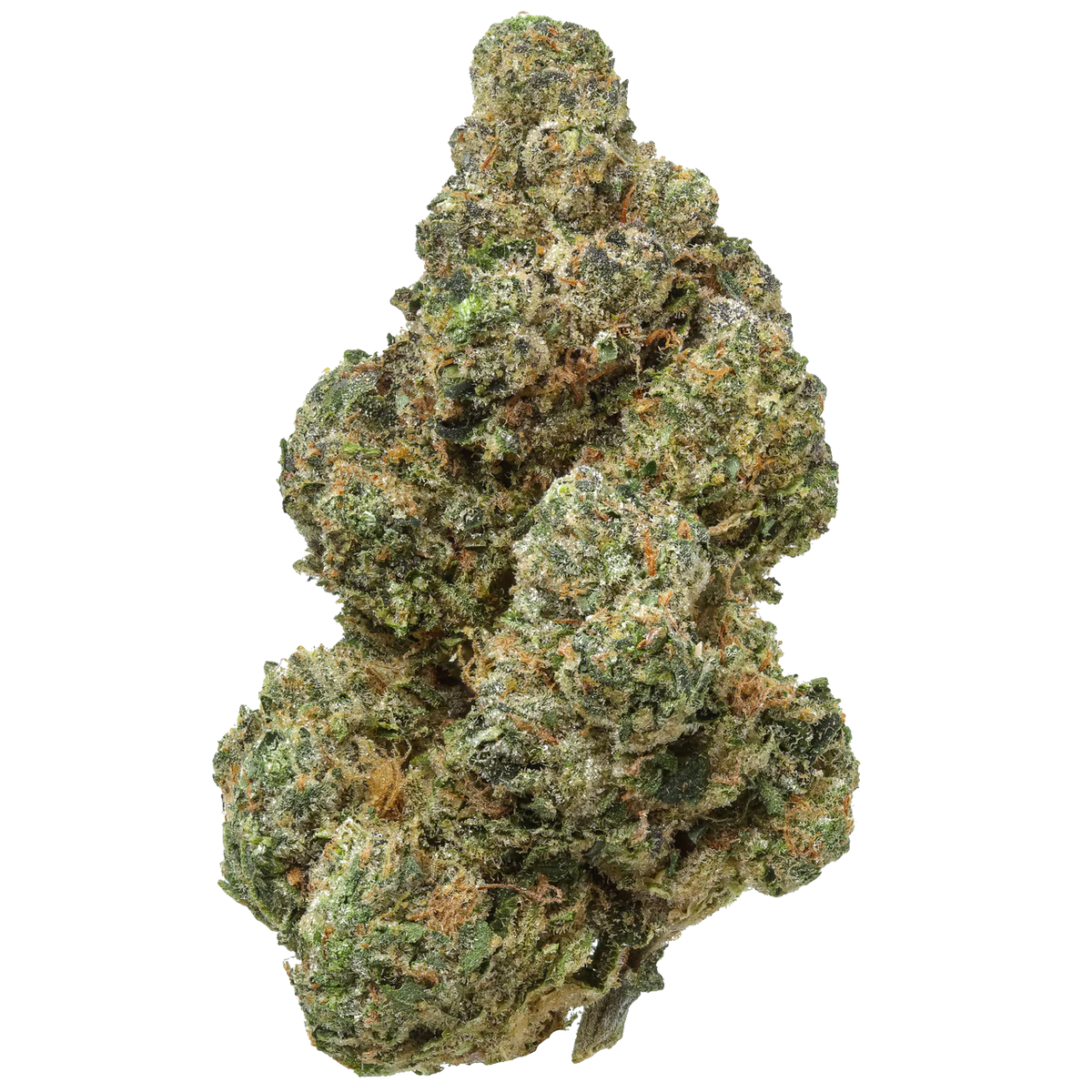 Cherry #22 - Exotic
