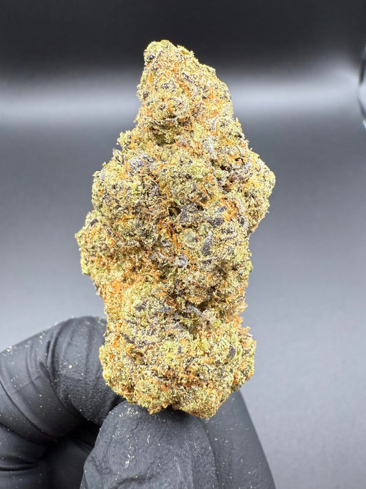 Lemon Ghoulie - Premium