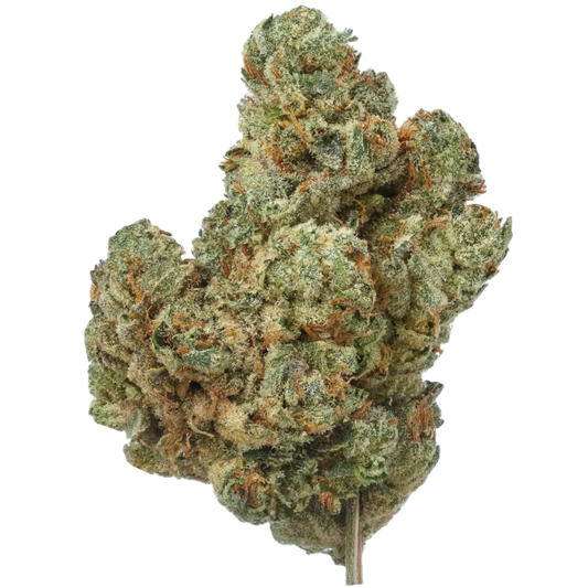Endless Glue - Exotic