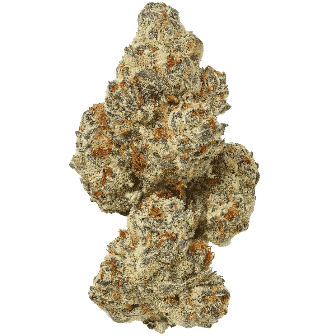 Grape Z - Exotic