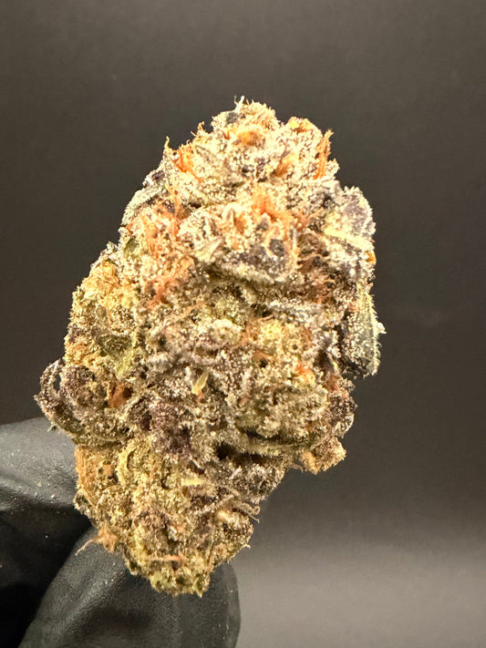 Hashburger - Premium