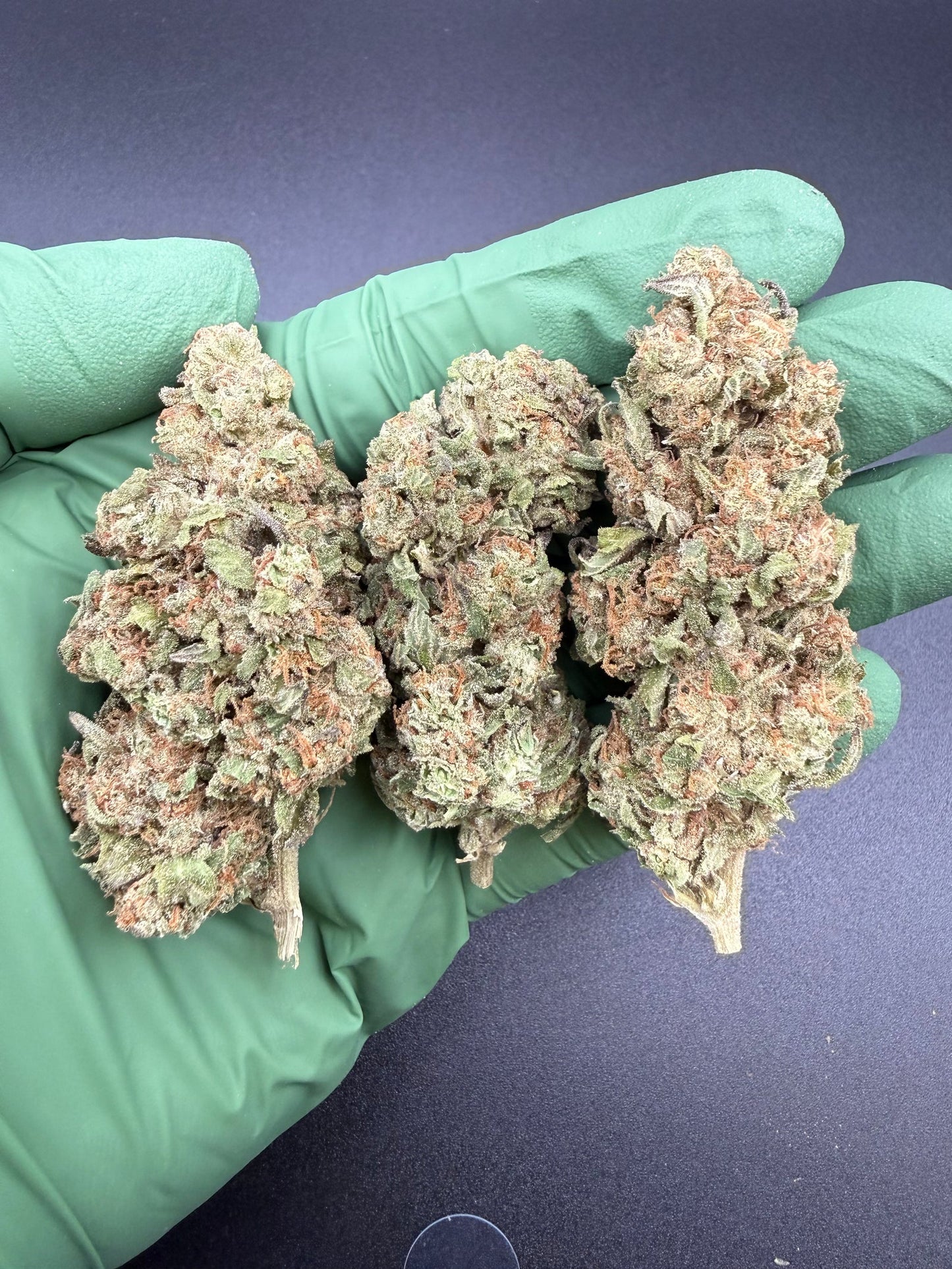 Moroccan Peaches - Premium