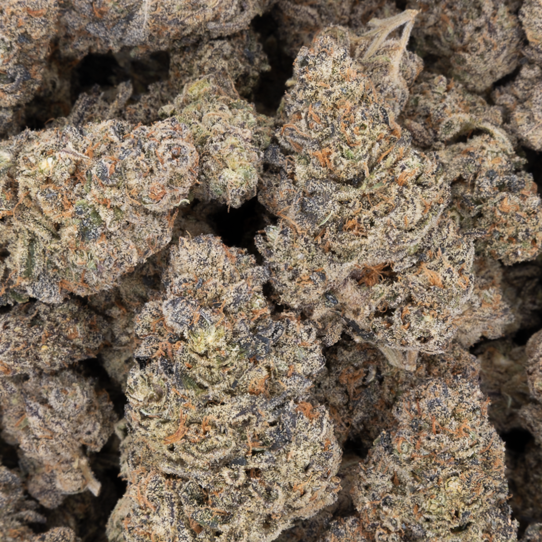Purple Churro - Premium