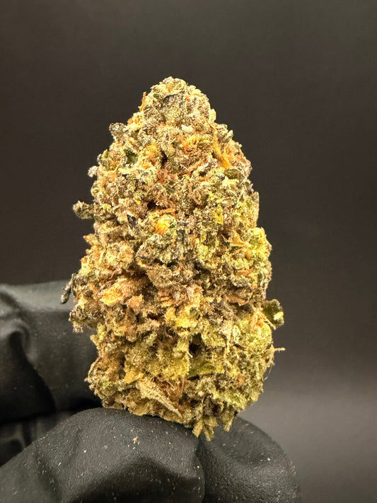 Purple Milk - Premium