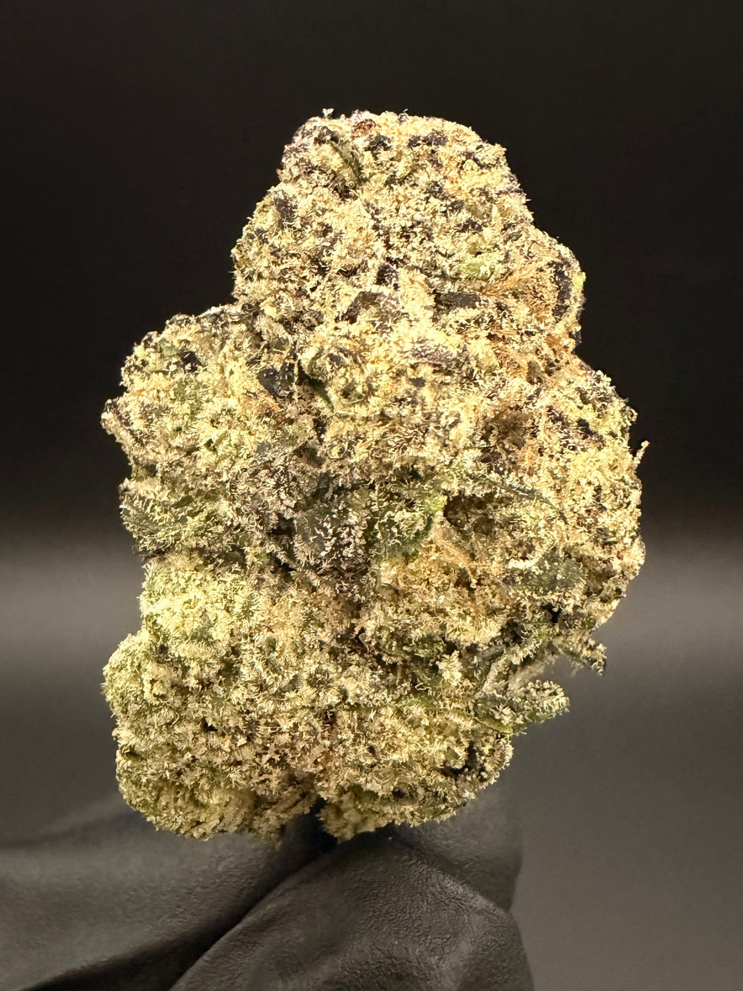 Triple Burger - Exotic