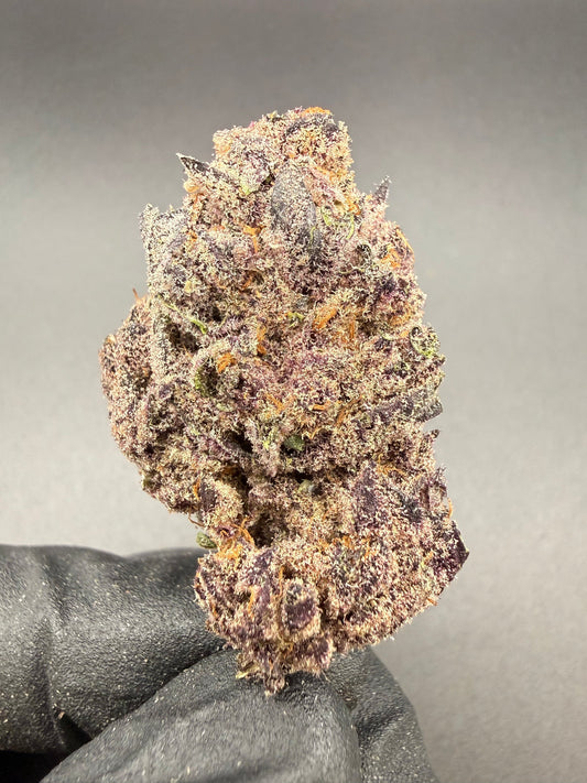 Tropicanna Cherry - Premium