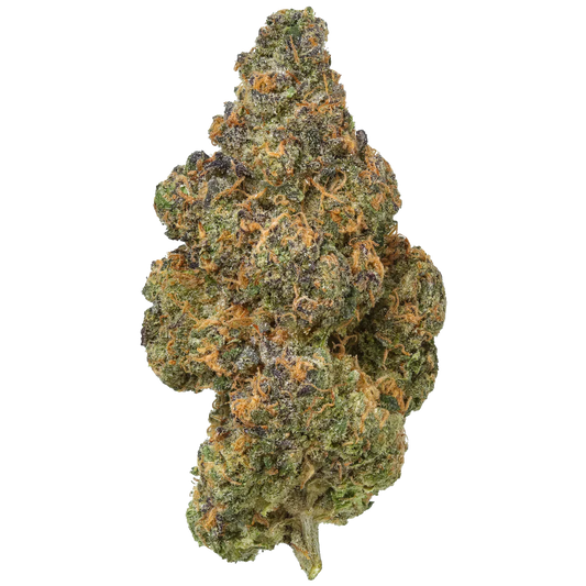 Black Maple - Exotic