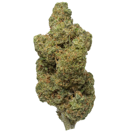 Durban Poison - Exotic