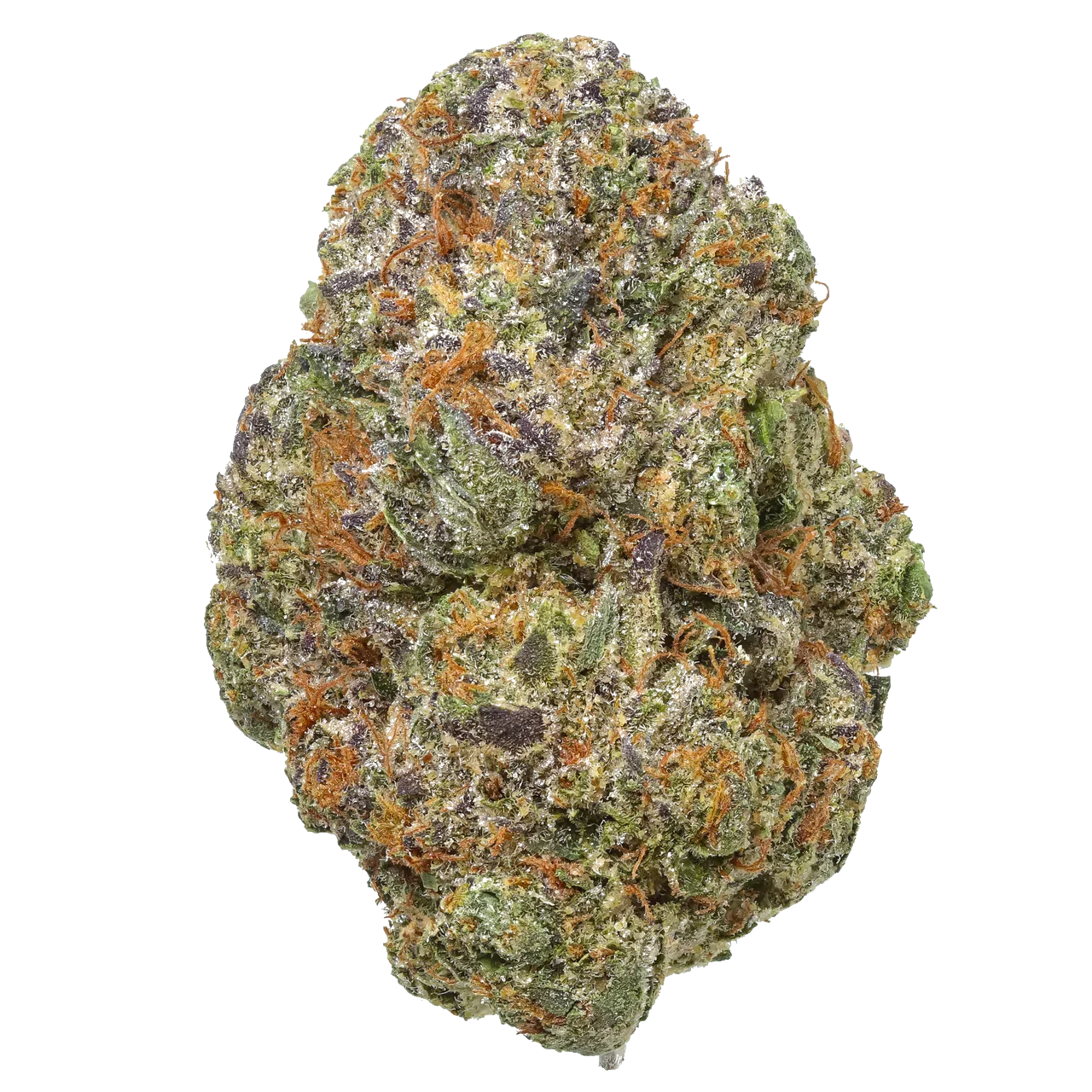 Gelato Cake - Exotic