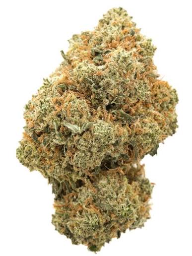 Black Widow - Exotic