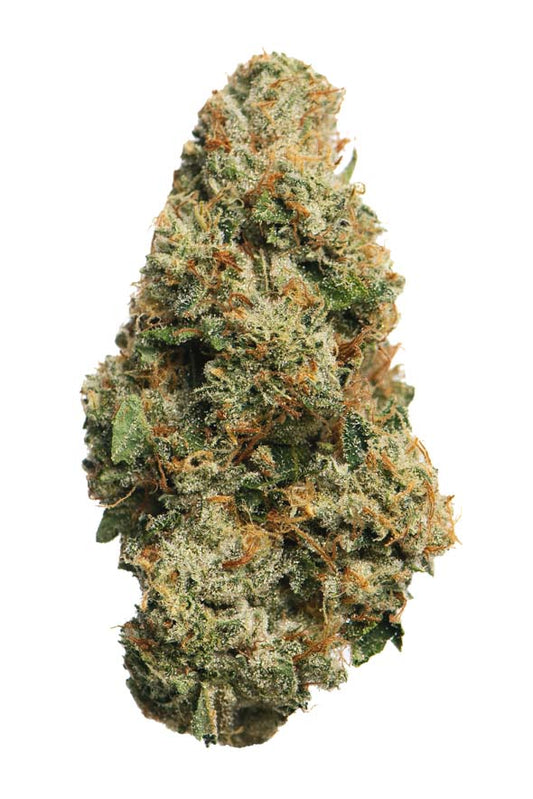 King Louie OG