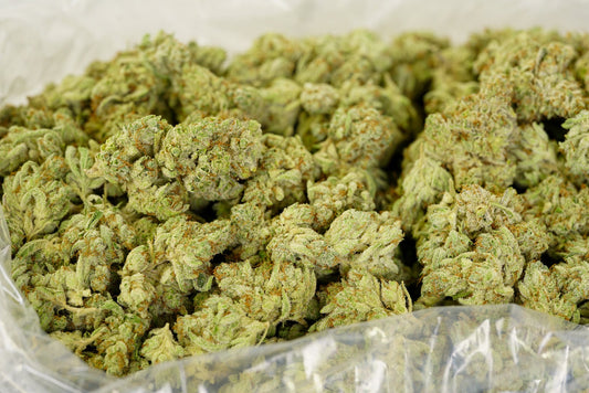 OG Kush