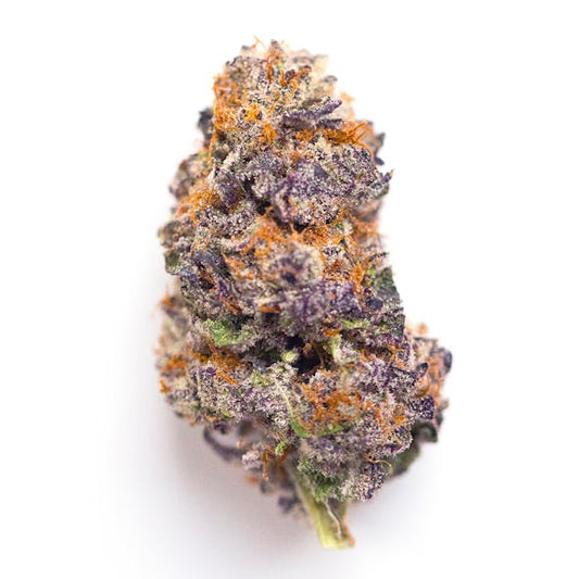 Blueberry Blaster